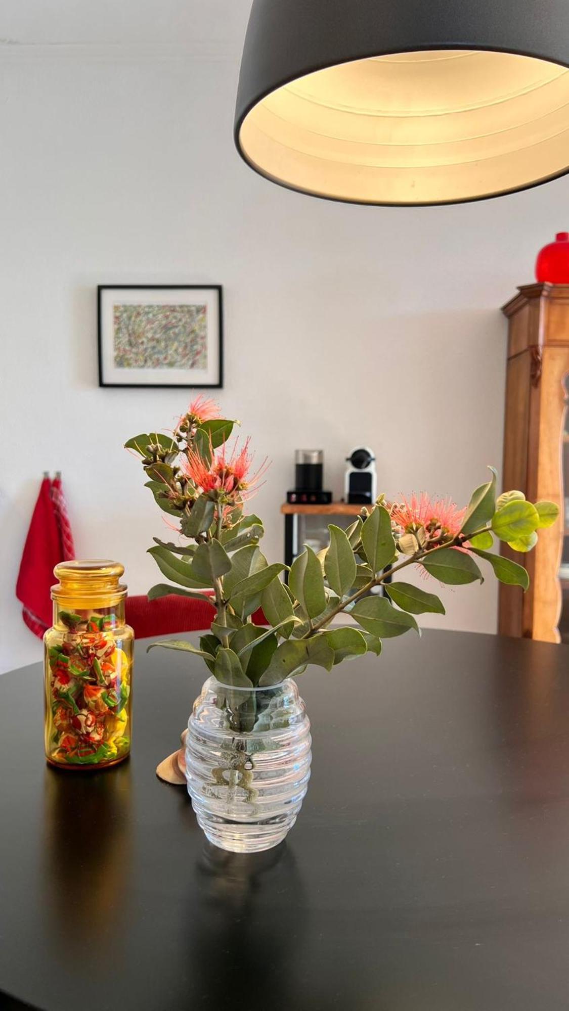 Arriba Stijlvol Appartement Met Zwembad En Tuin Conil De La Frontera Exterior foto