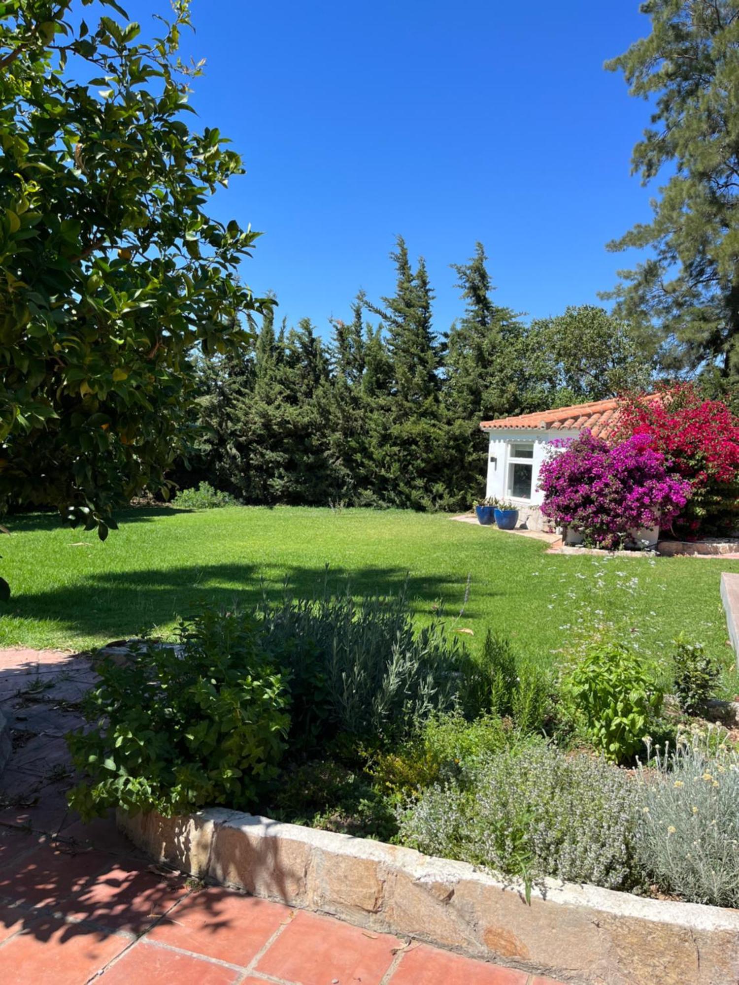 Arriba Stijlvol Appartement Met Zwembad En Tuin Conil De La Frontera Exterior foto