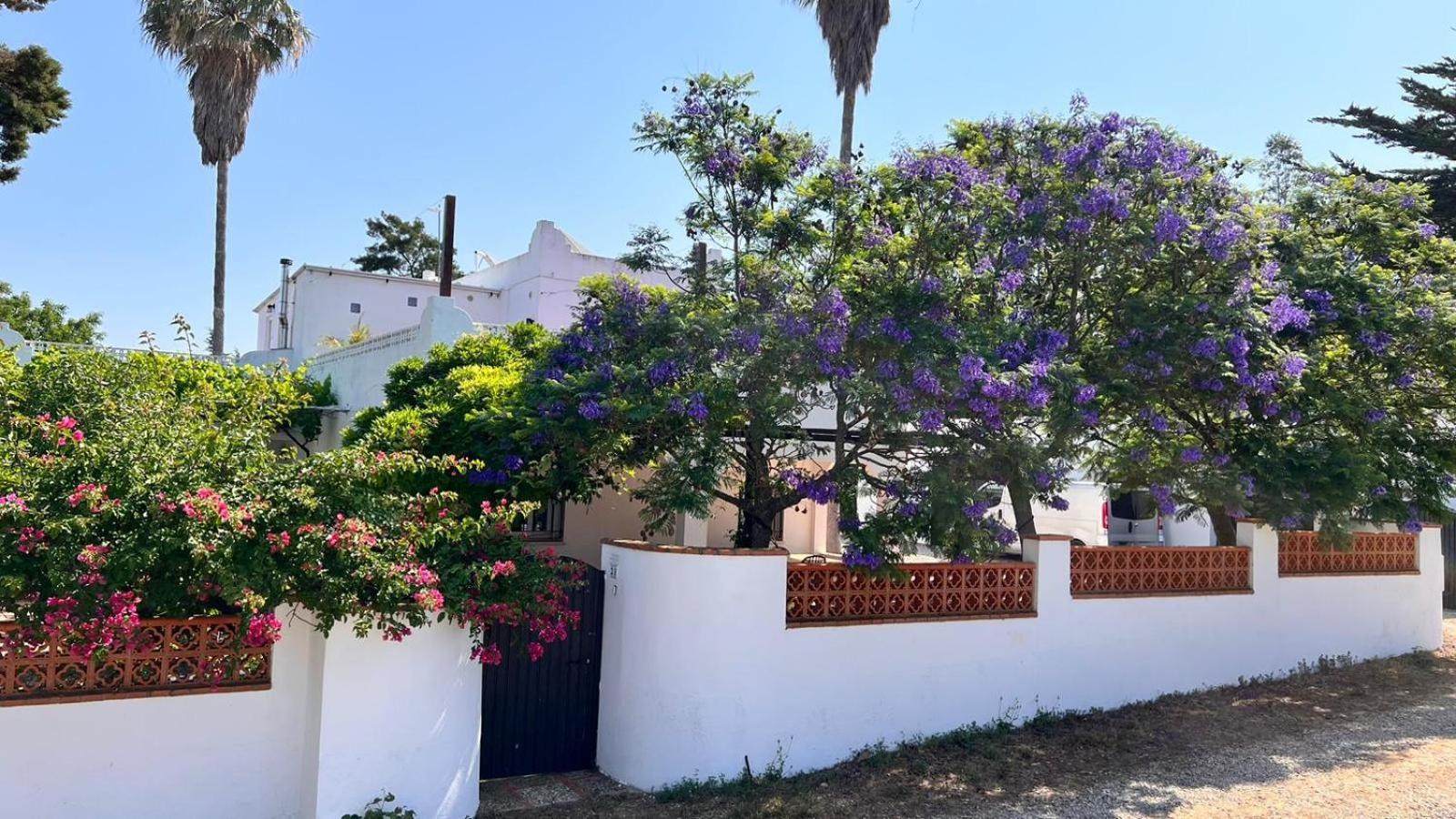 Arriba Stijlvol Appartement Met Zwembad En Tuin Conil De La Frontera Exterior foto