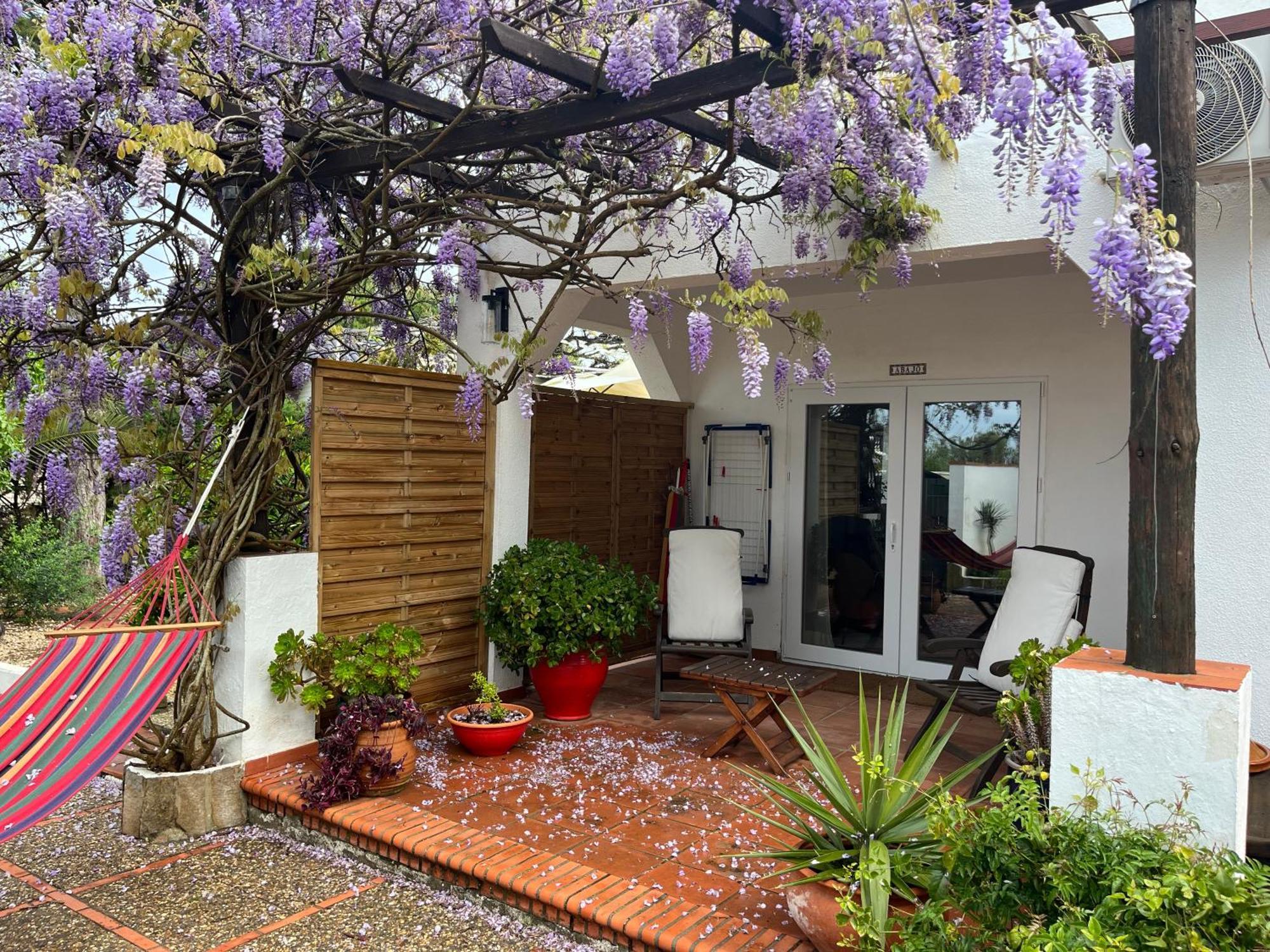 Arriba Stijlvol Appartement Met Zwembad En Tuin Conil De La Frontera Exterior foto